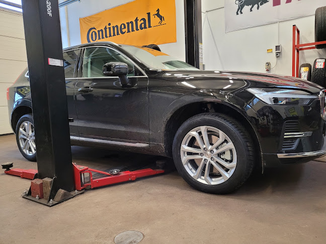 Opinii despre Szalka Gumiszerviz în Mátészalka - Gumiabroncs-szaküzlet