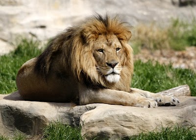 Photos of San Antonio Zoo