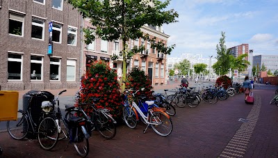 Photos of VVV Leiden