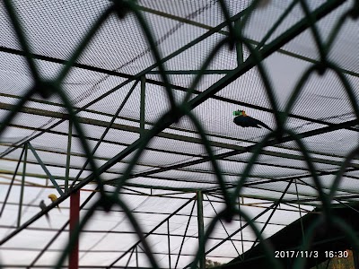 Photos of Shekh Rasel Eku park