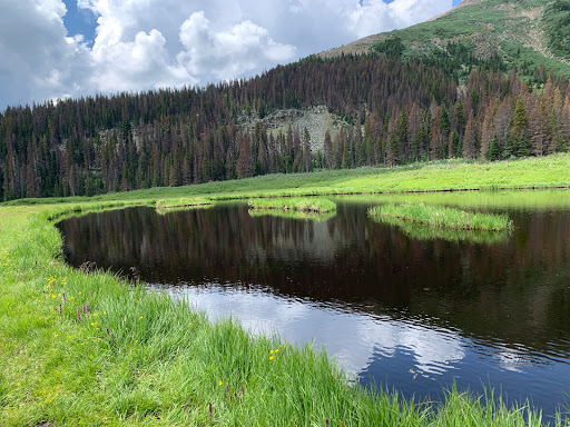Serpent Lake Trail Head - Thumbnail