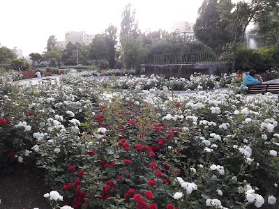 Photos of Abshar Park