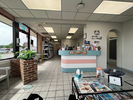 VCA Beacon Hill Cat Hospital Gallery - United States
