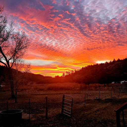 Katie Betts, Best of Pagosa Springs Real Estate