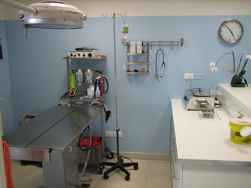 Ambulatorio Veterinario Copercini Dott.ssa Valentina - Thumbnail