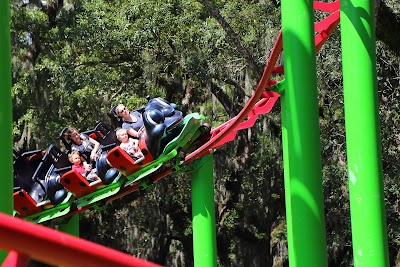 Ladybug Roller Coaster