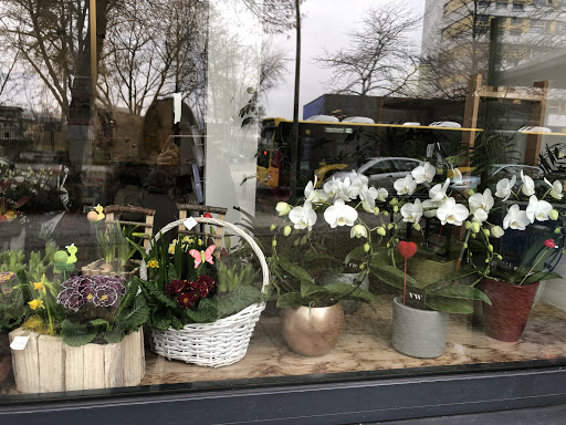 LM Blumen Gallery - Germany