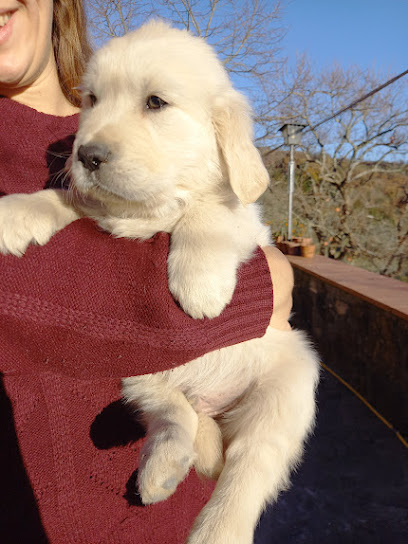 Azienda agricola Chiarugi