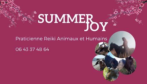 SUMMERJOY - Visual