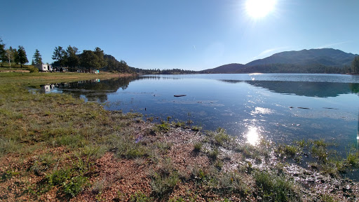 Castle Mountain Recreation Wellington Lake - Thumbnail