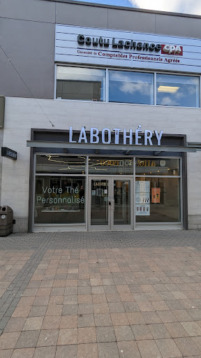 Labothéry - Visual