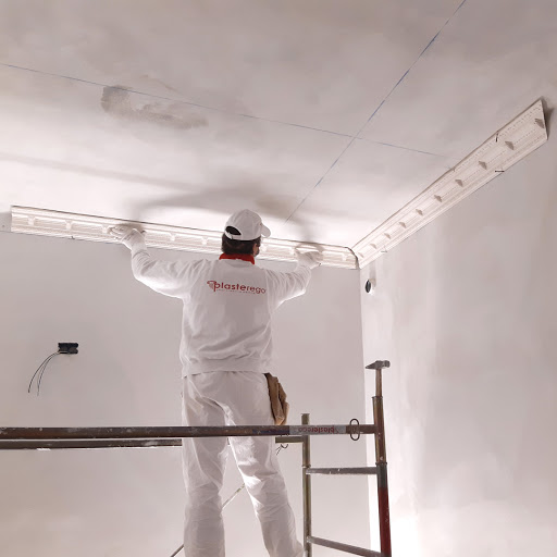 Plasterego - Boschetto srl - Visual
