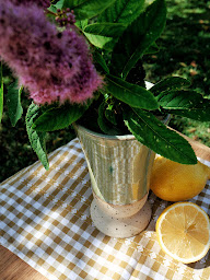 Photo n°15 de Petra Poterie à Mazeley (Cours de poterie)