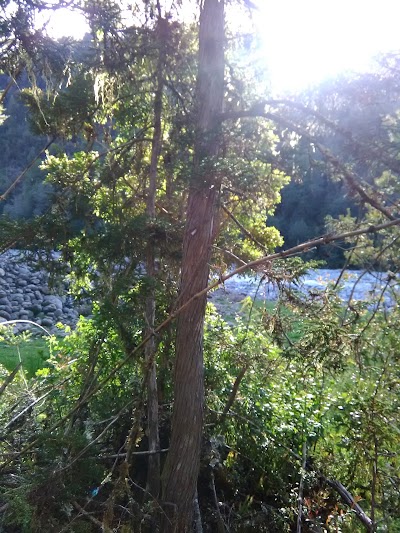 Photos of Casa R&iacute;o Puelo