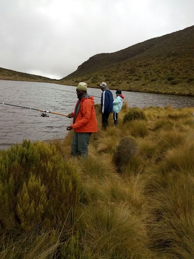 Photos of Mt Kenya Lodge