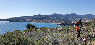 Photo n°20 de Blue Béar - Kayak de mer - Location vélo - vélo électrique - VTT - vélo route à Argelès-sur-Mer (Magasin de vélos d'occasion)