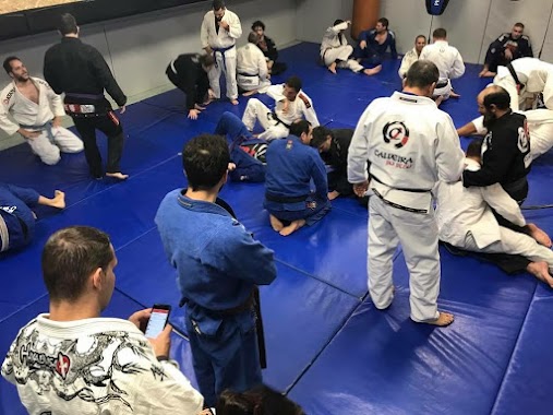 Octopus Academy BJJ & MMA Israel, Author: Octopus Academy BJJ & MMA Israel