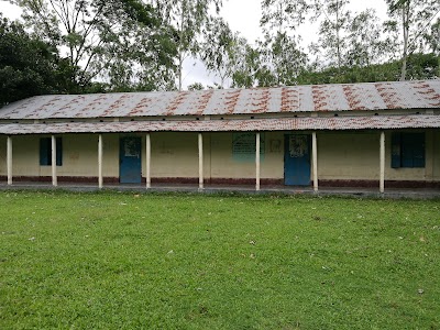 university