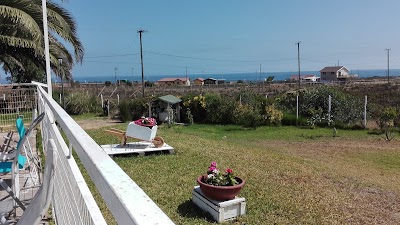 Photos of Caba&ntilde;as Las Palmeras en Sector Santa Maria De Los Molles