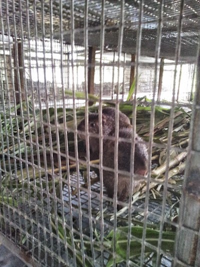 Photos of Ayaakor Organic Farms Limited