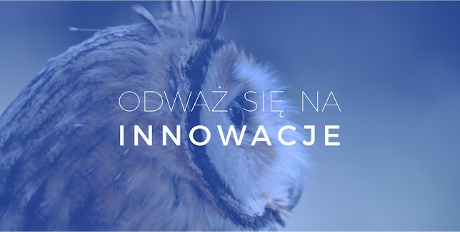 Numer telefony do BLUE OWL