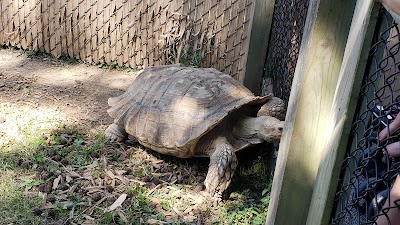 Henson Robinson Zoo