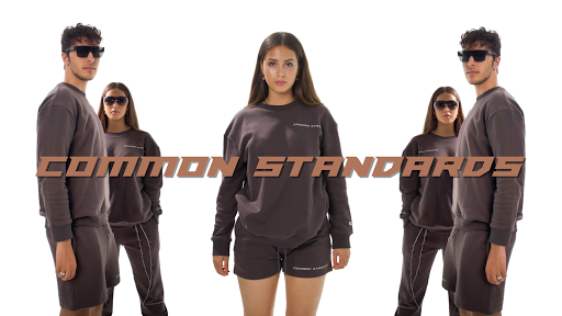 Common Standards - Visual