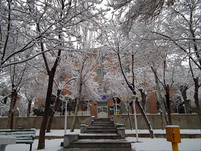 university