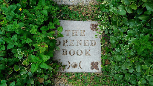 The Opened Book - Thumbnail