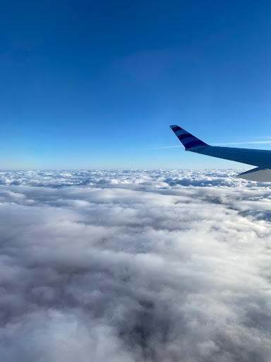 JetBlue - Visual