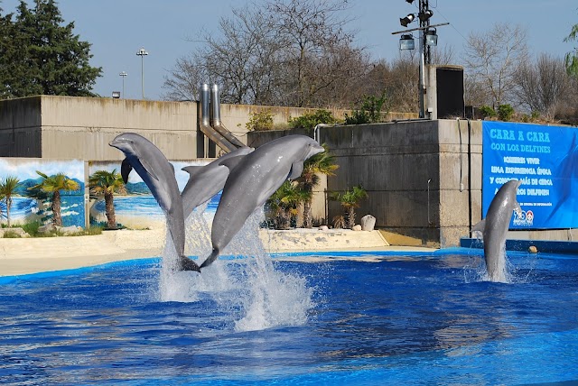 Zoo Aquarium de Madrid