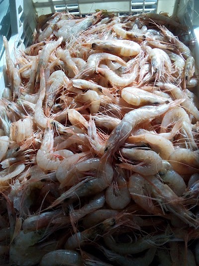 Photos of Essebi Basile Srl