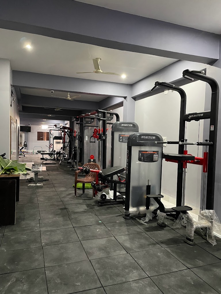 Bending Barbells Boys Girls Unisex Gym