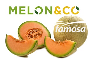 Melon&Co Ltd