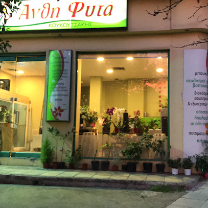 Koukoutsakis flowers