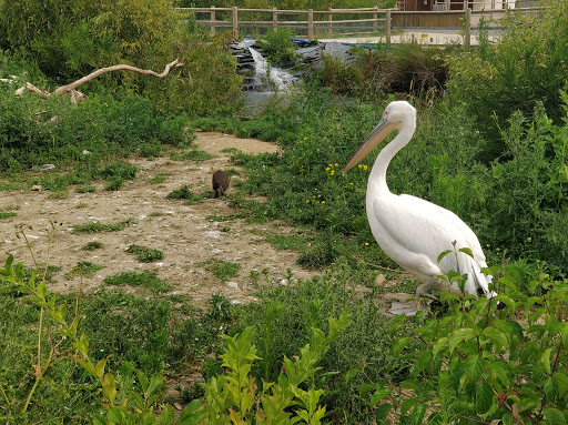 Parc aquatique Aqua Mundo Center Parcs Le Bois aux Daims - Thumbnail
