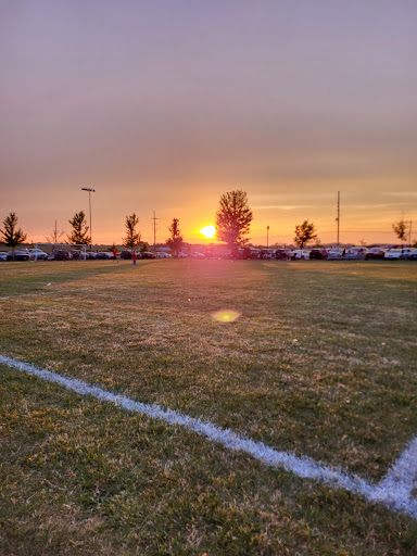 Wilson Fields - Visual