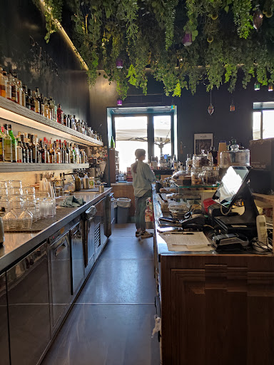 Extraordinary Plan B Cafe - Visual