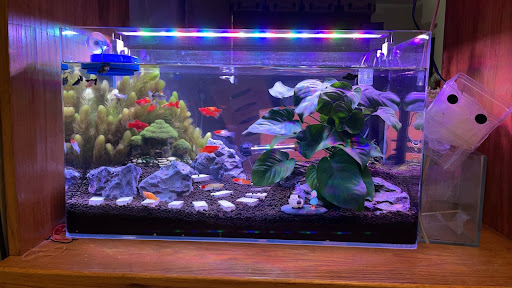 [AMY家族水族館 水族店的外部或內部照片]