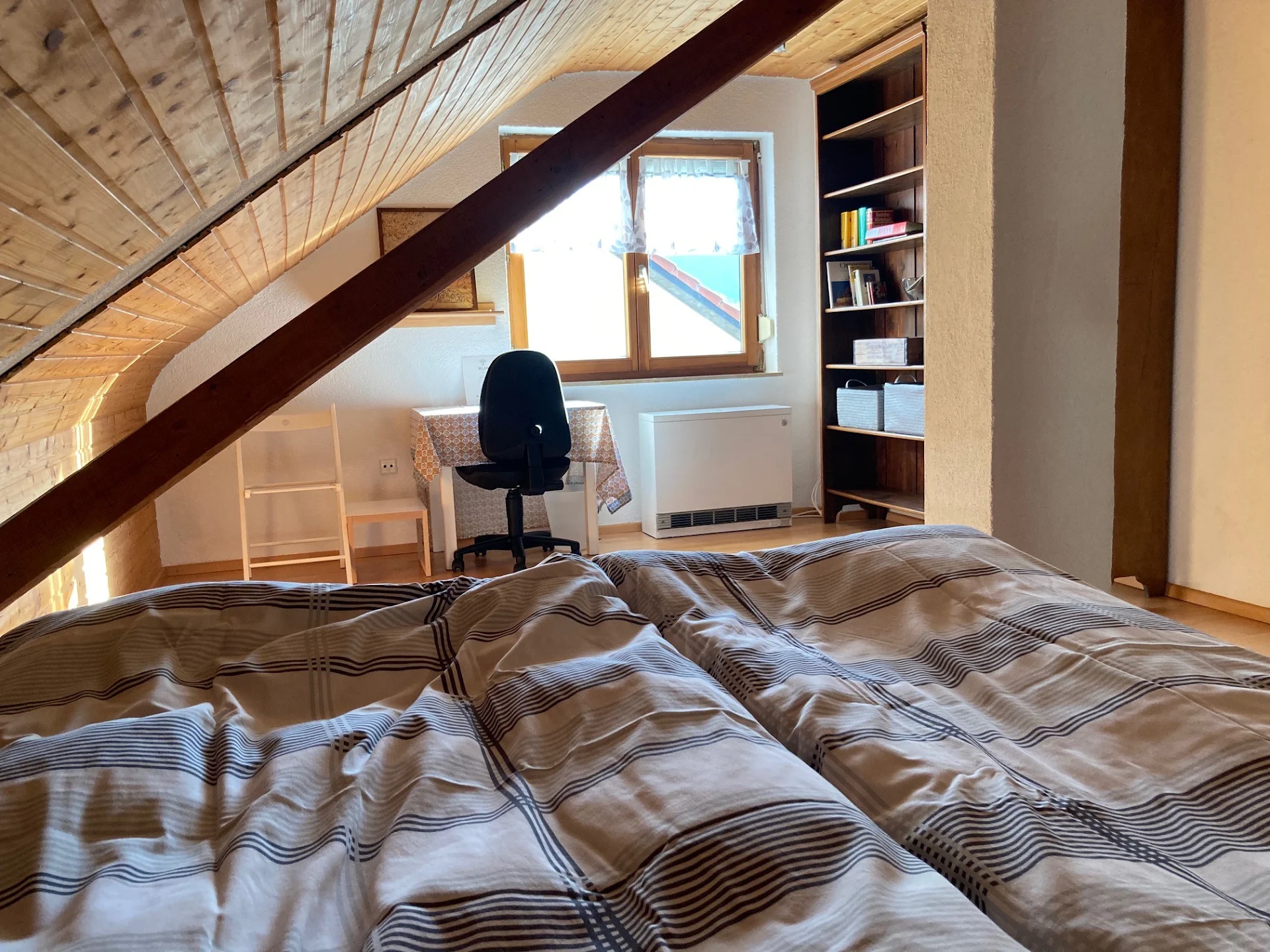 Das Nest