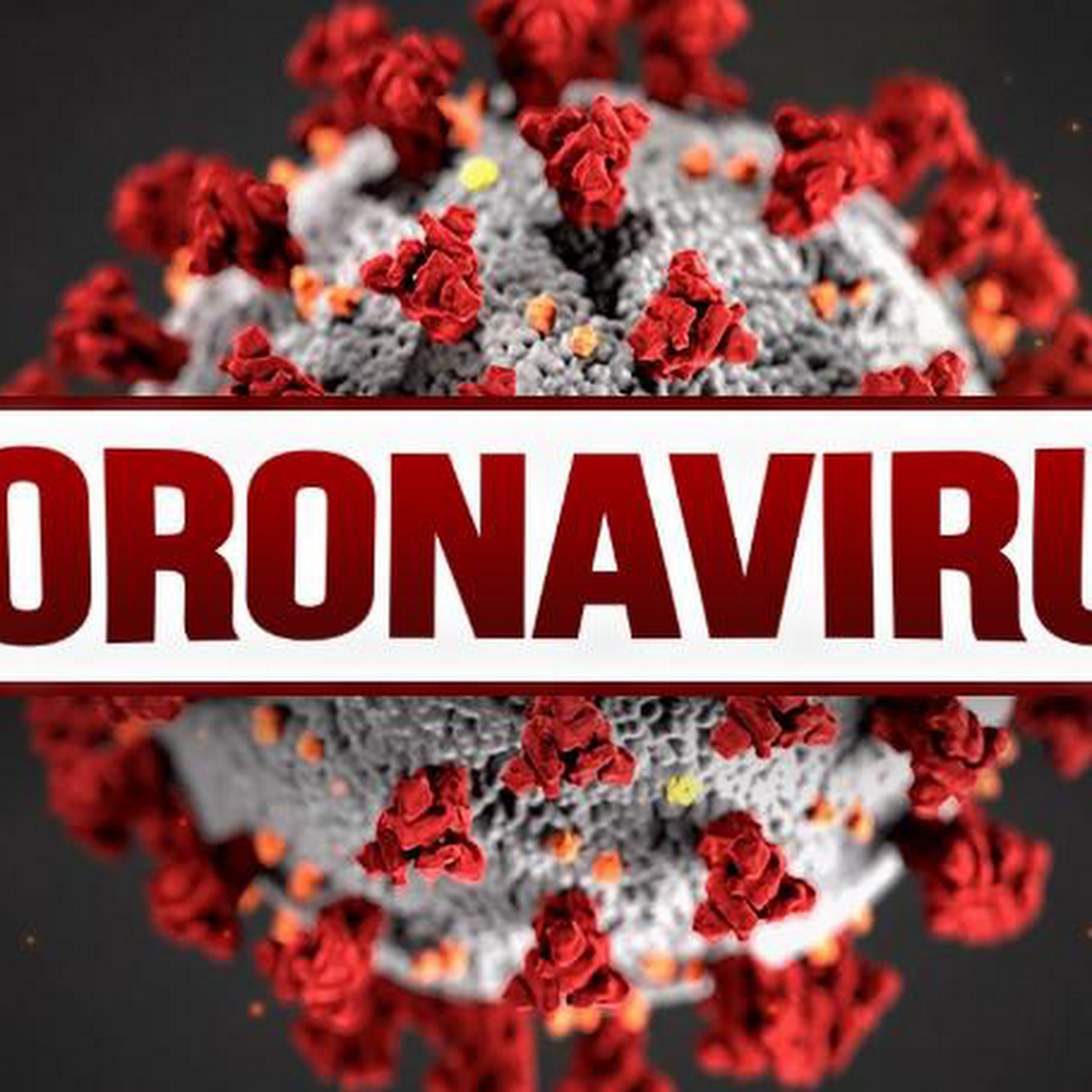 Garage Door Parts Depot Garage Door Parts And Accessories Wholesale Supplier In Gold River