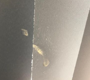 DTS Carpet Cleaning Services - Thumbnail