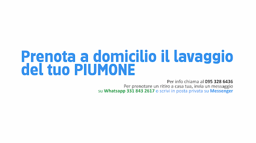 PRONTOPIUMA - Visual