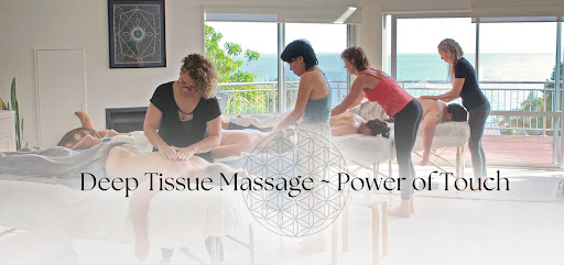 Deep Tissue Massage School Logo