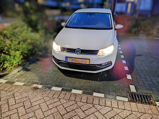 D. Wursten - Thumbnail