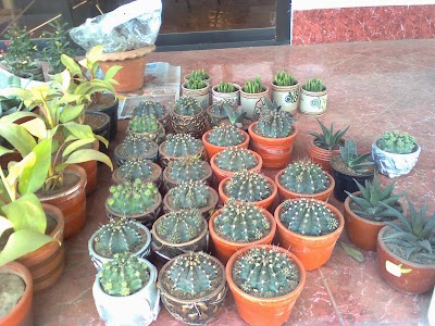 Photos of BRAC Nursery