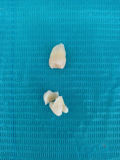 BC Tijuana Clinica Dental Familiar OSONU - Thumbnail