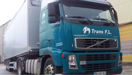 Trans FL - Visual