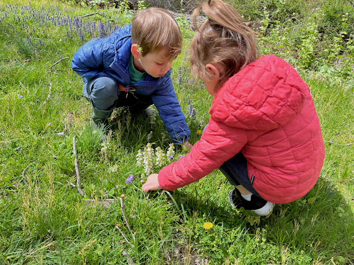 Westport-Weston Co-op Nursery School - Thumbnail