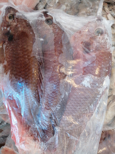 pescaderia "DOÑA LUPE"